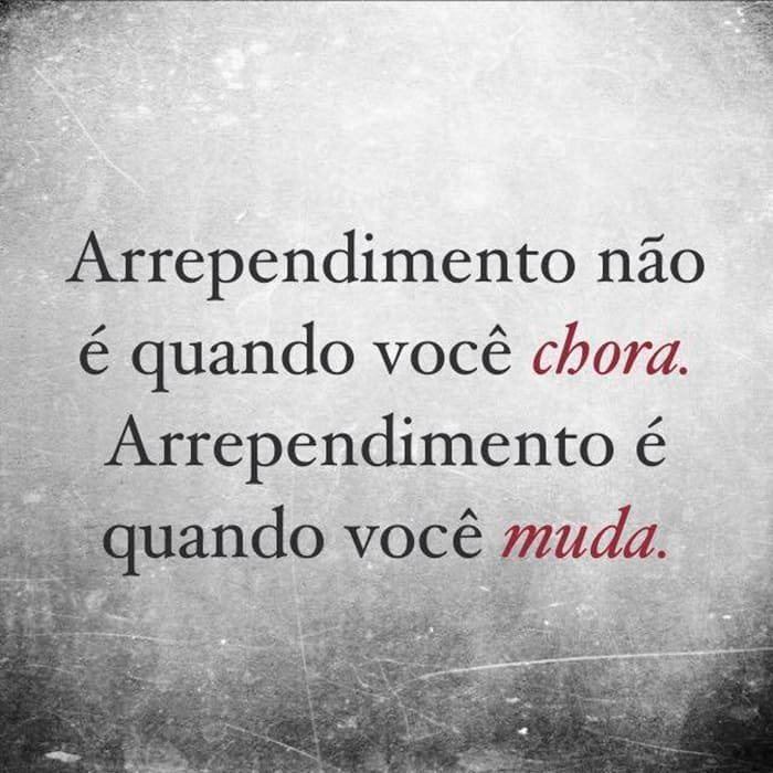 Ideias do Solidarismo — imagem 3