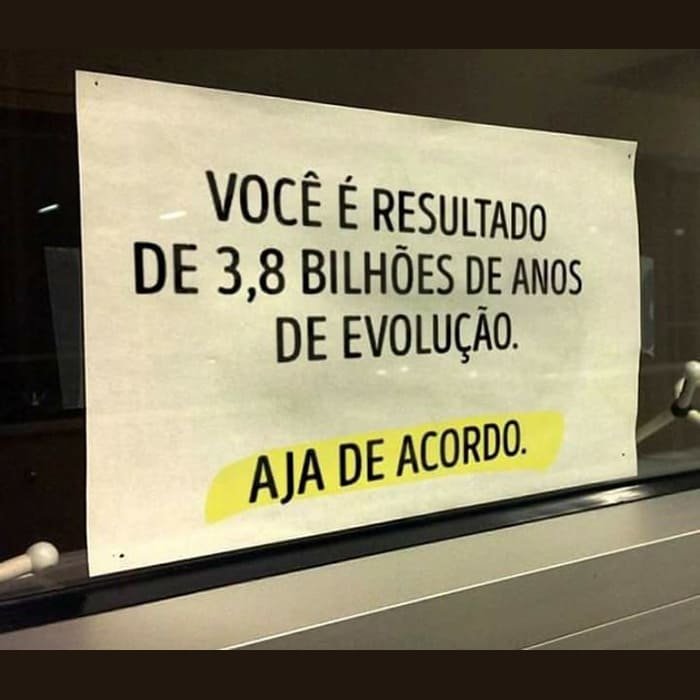 Ideias do Solidarismo — imagem 8