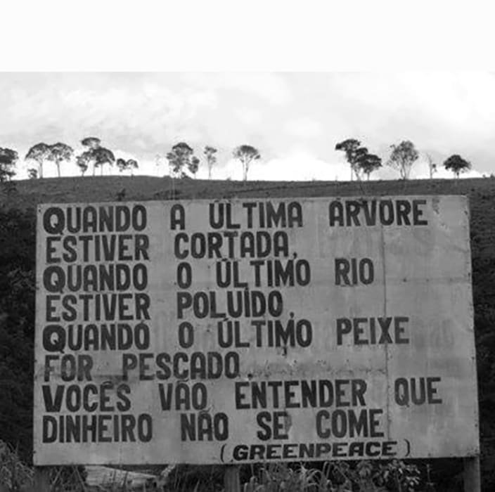 Ideias do Solidarismo — imagem 13