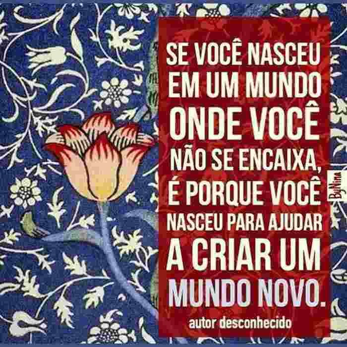 Ideias do Solidarismo — imagem 37