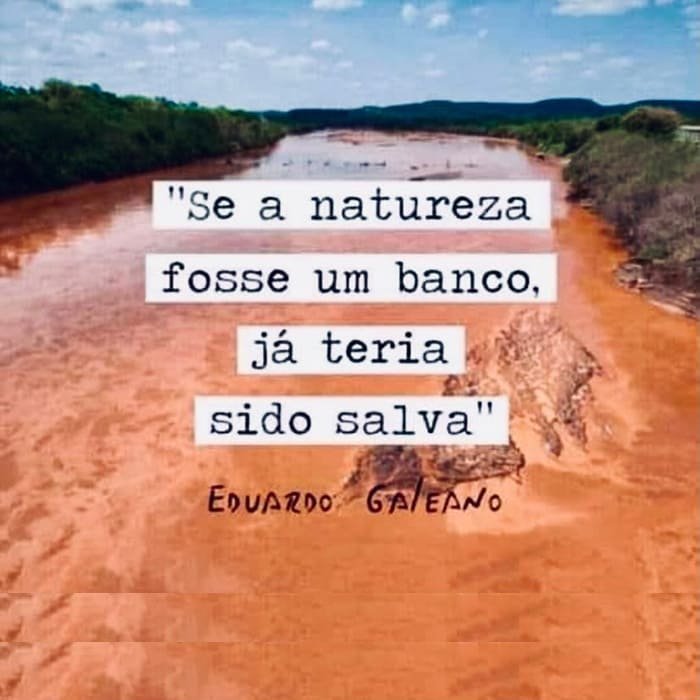 Ideias do Solidarismo — imagem 21