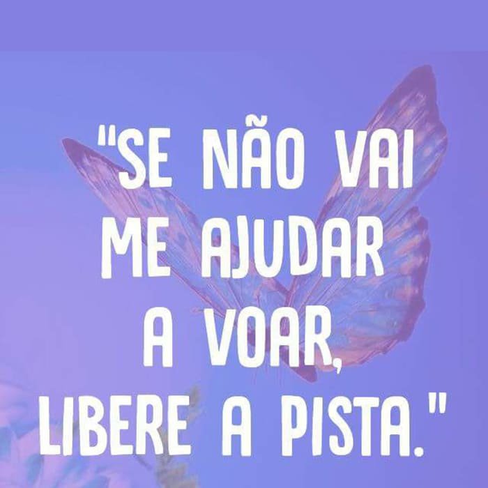 Ideias do Solidarismo — imagem 14